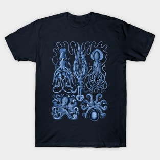 Ernst Haeckel Gamochonia Octopus Blue T-Shirt